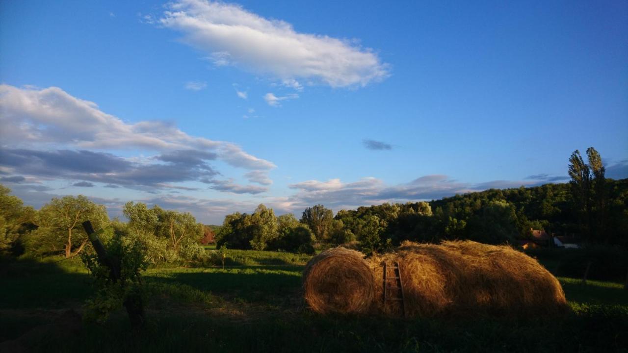 Szellosreti Vendeglak Balvanyos Dış mekan fotoğraf